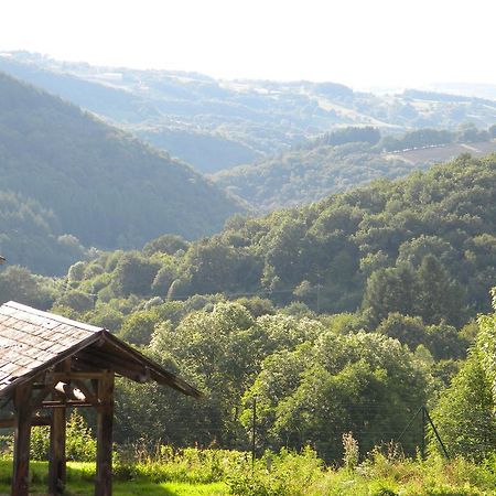 Domaine Du Randier Villa Ferrières-sur-Sichon Eksteriør billede