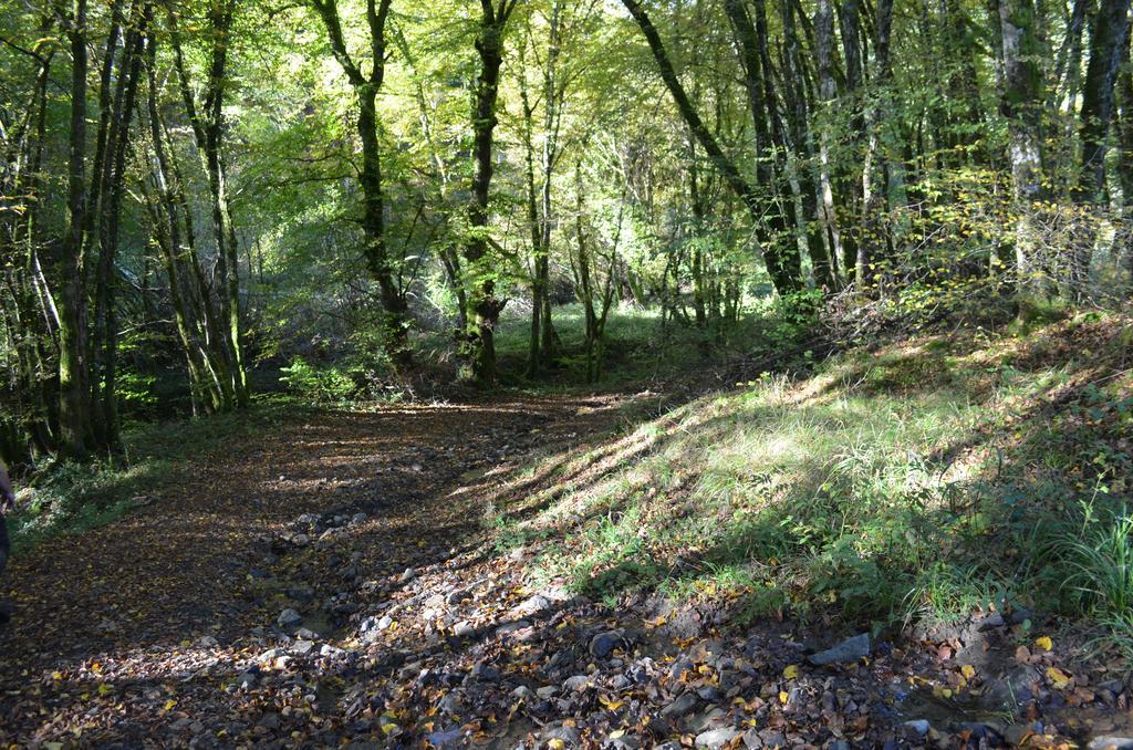Domaine Du Randier Villa Ferrières-sur-Sichon Eksteriør billede