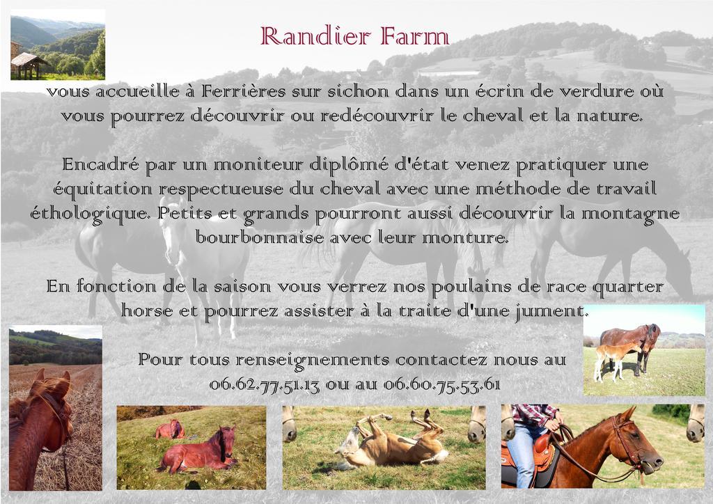 Domaine Du Randier Villa Ferrières-sur-Sichon Eksteriør billede